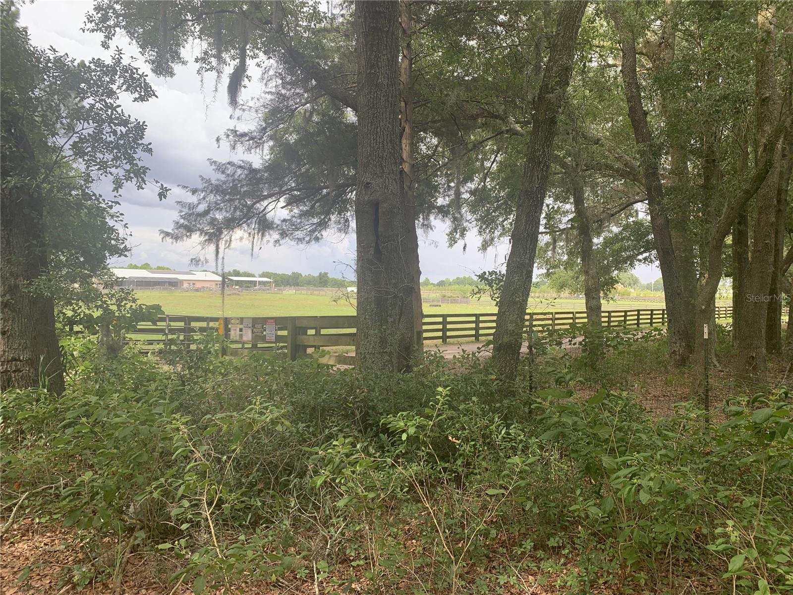 SW 20TH ST, BELL, FL, 32619