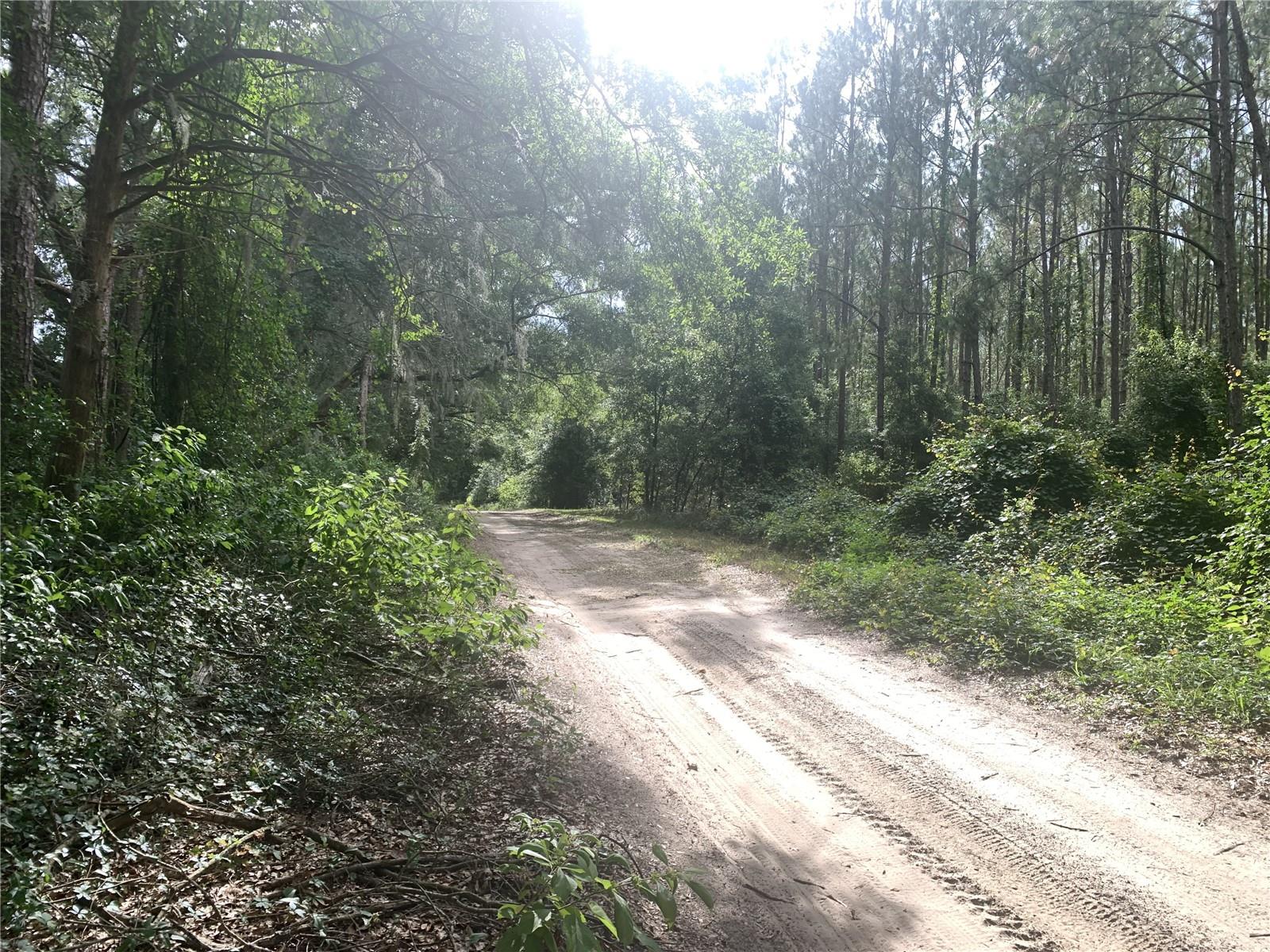 SW 20TH ST, BELL, FL, 32619