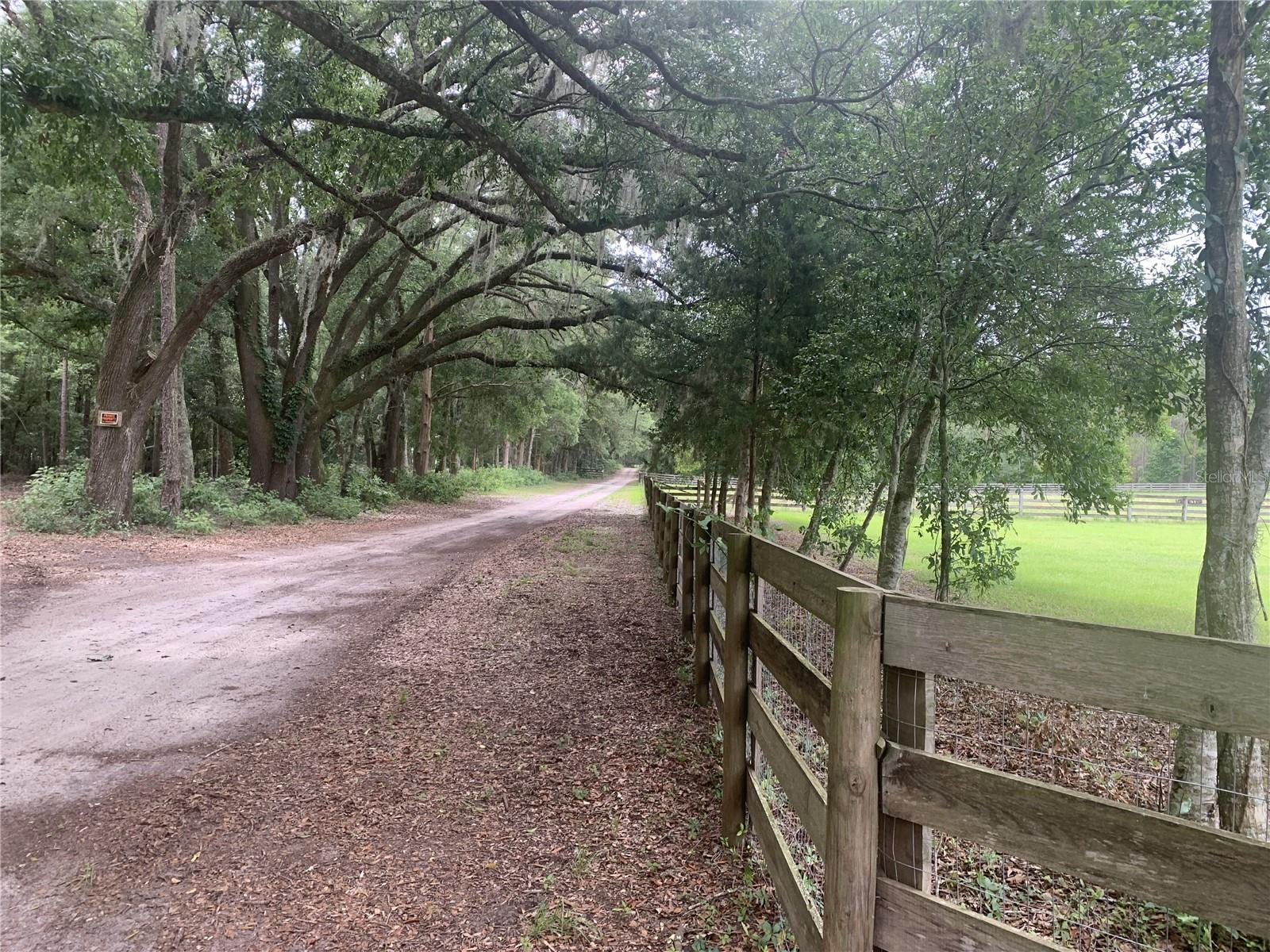 SW 20TH ST, BELL, FL, 32619