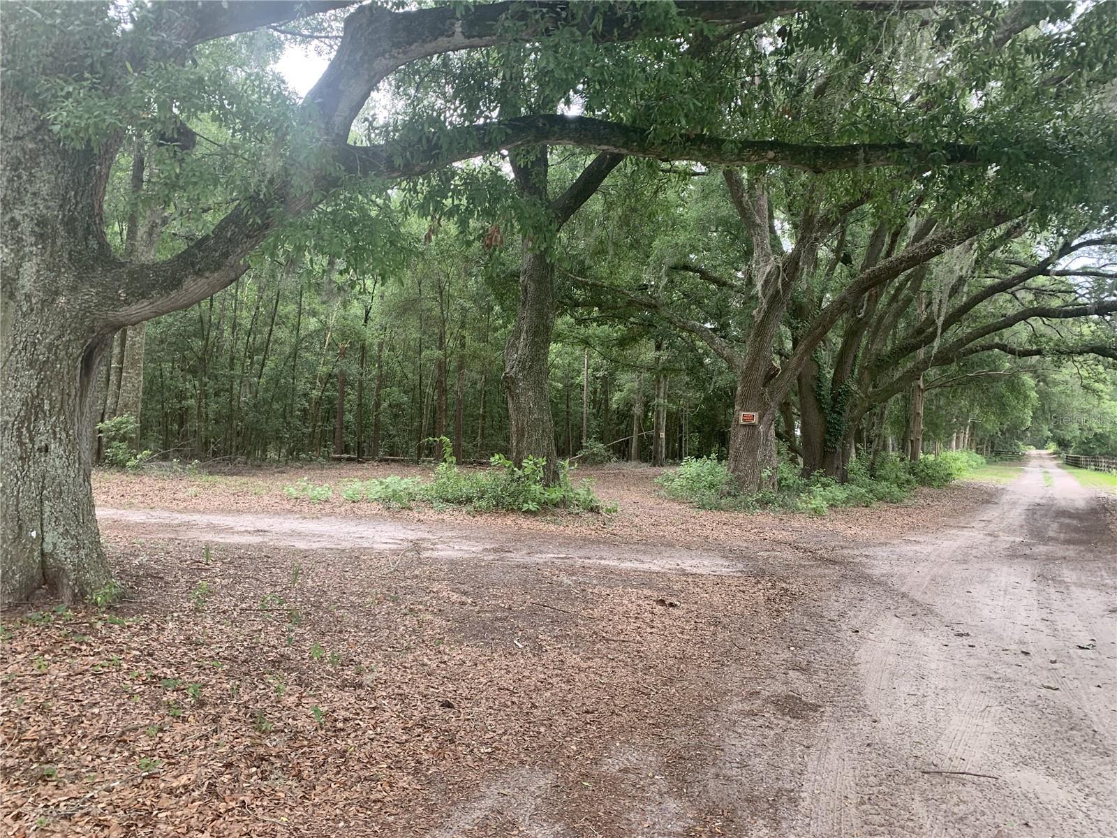 SW 20TH ST, BELL, FL, 32619