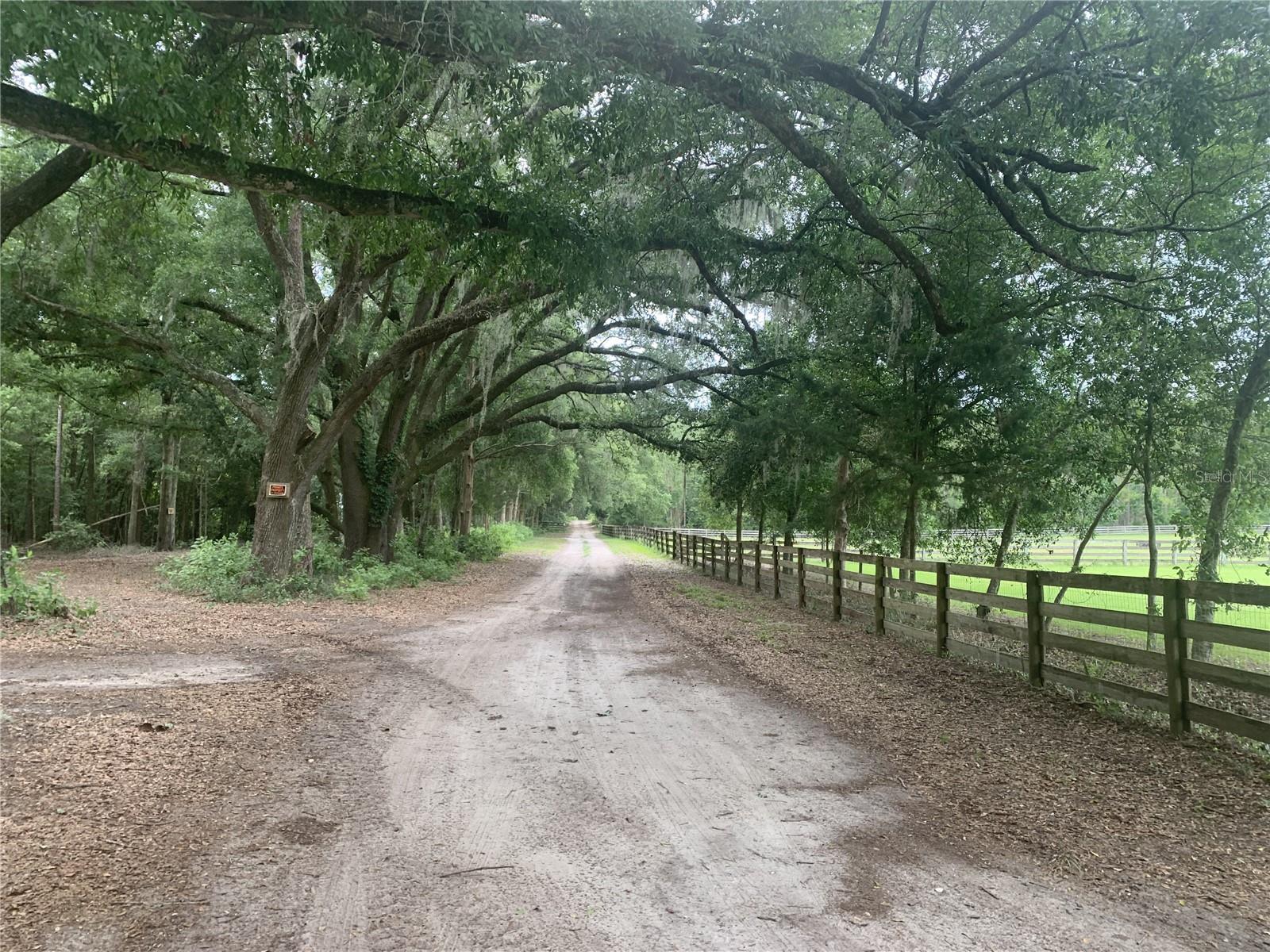 SW 20TH ST, BELL, FL, 32619