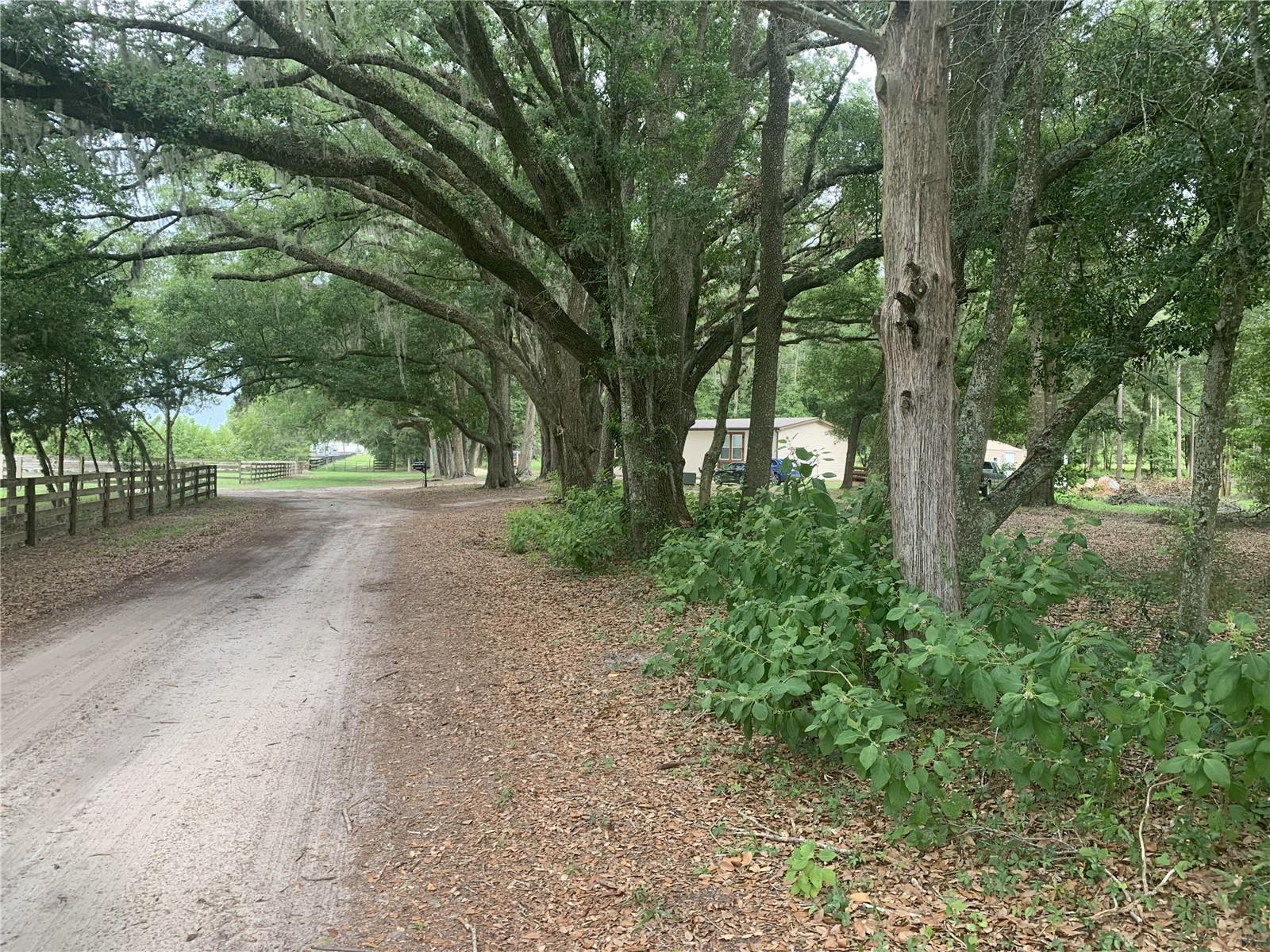 SW 20TH ST, BELL, FL, 32619