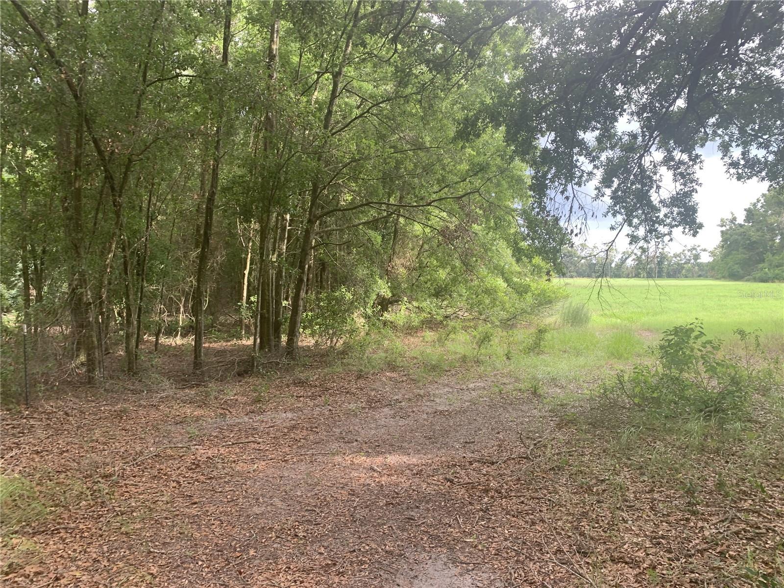 SW 20TH ST, BELL, FL, 32619