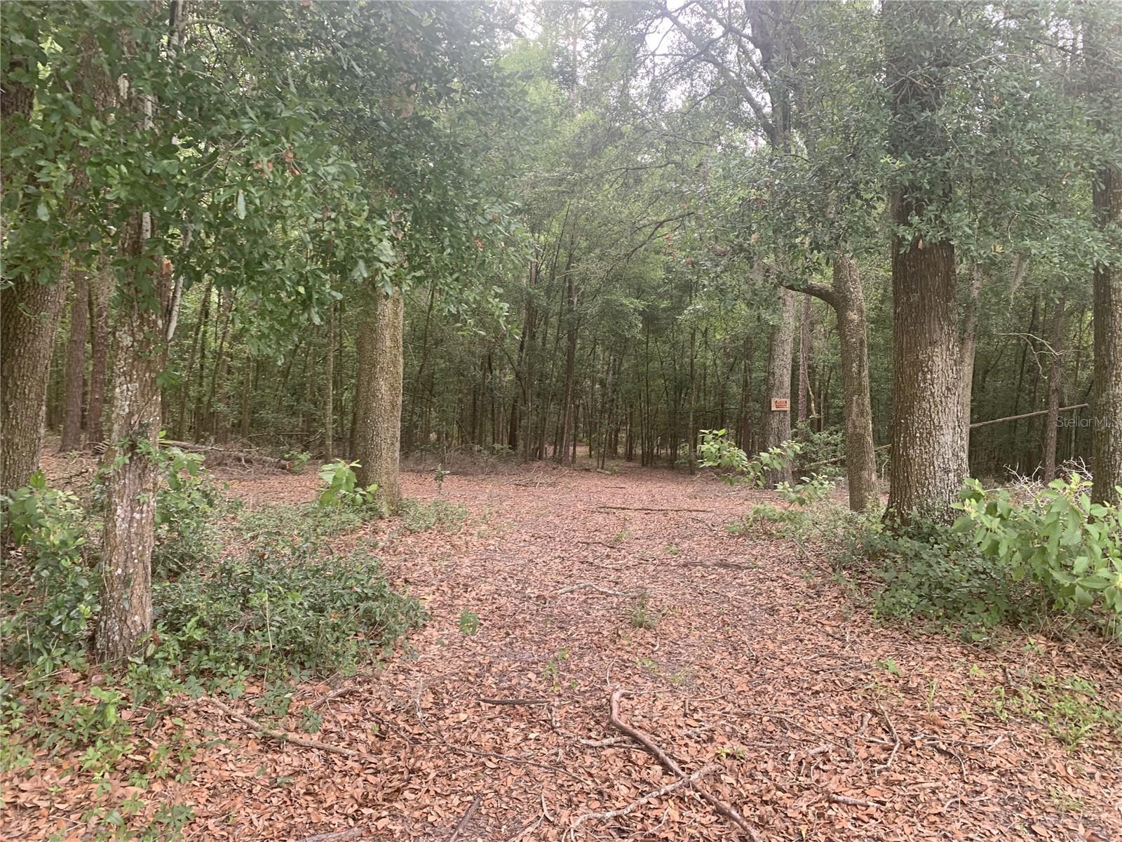 SW 20TH ST, BELL, FL, 32619