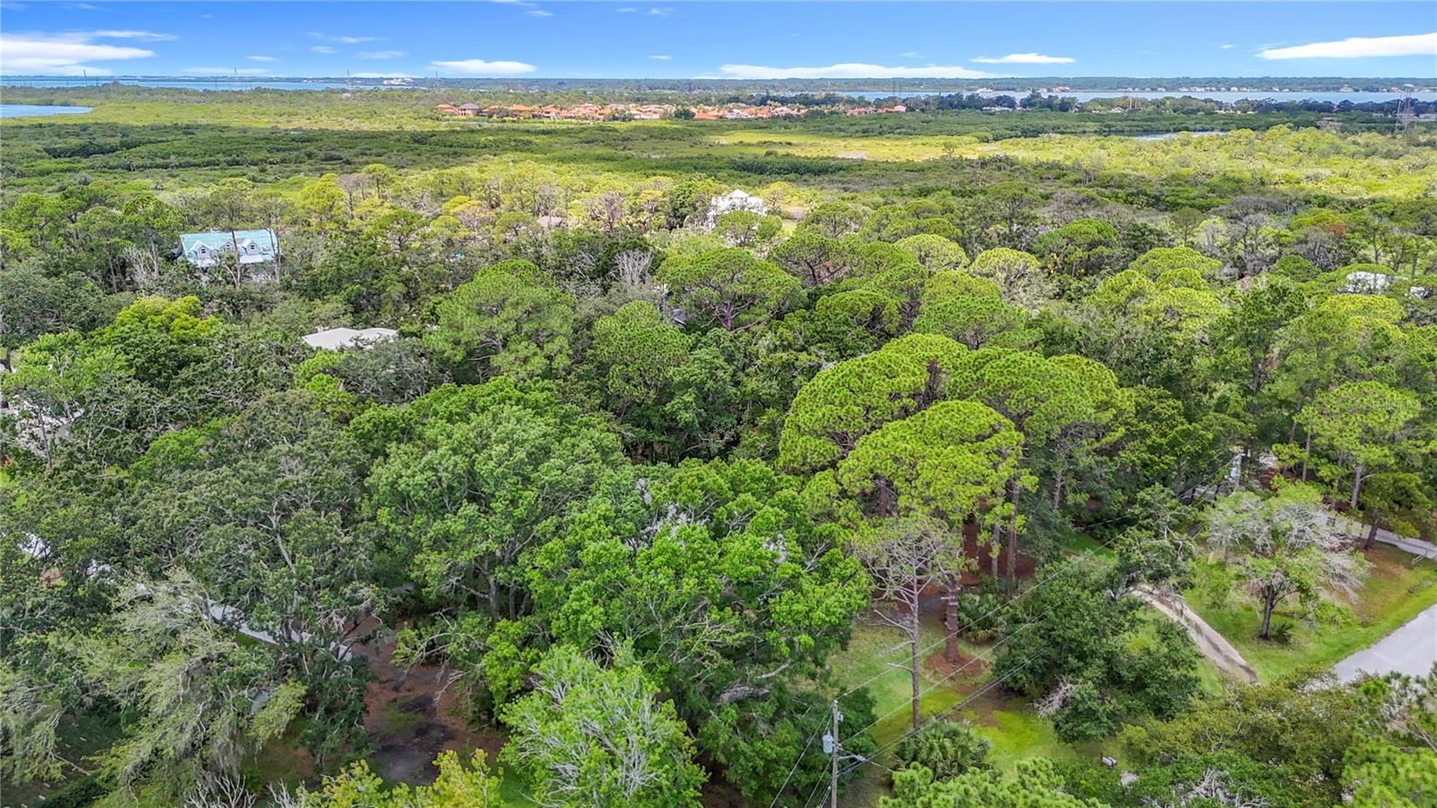 950 WAVERLY ST, OLDSMAR, FL, 34677