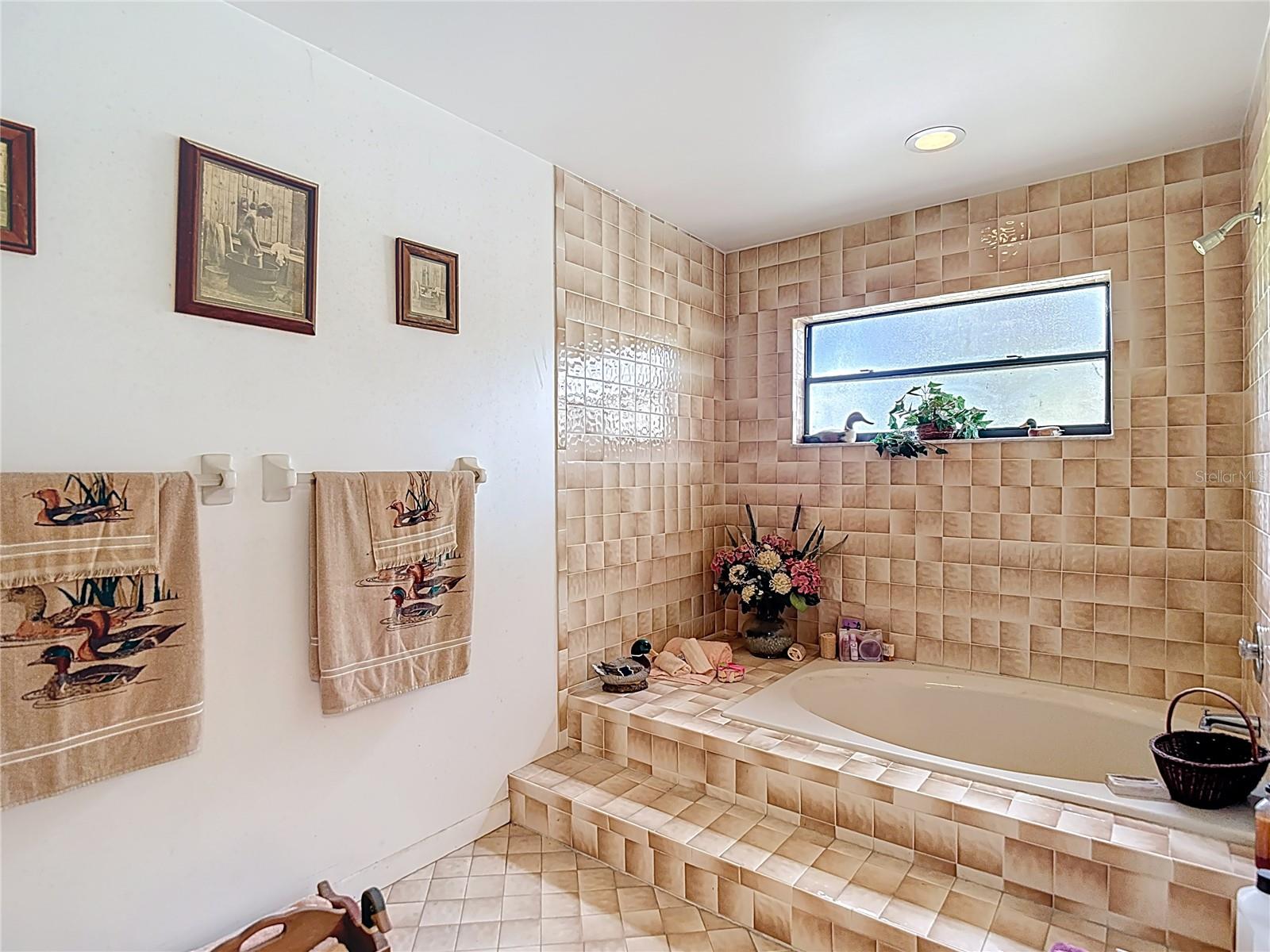 950 WAVERLY ST, OLDSMAR, FL, 34677