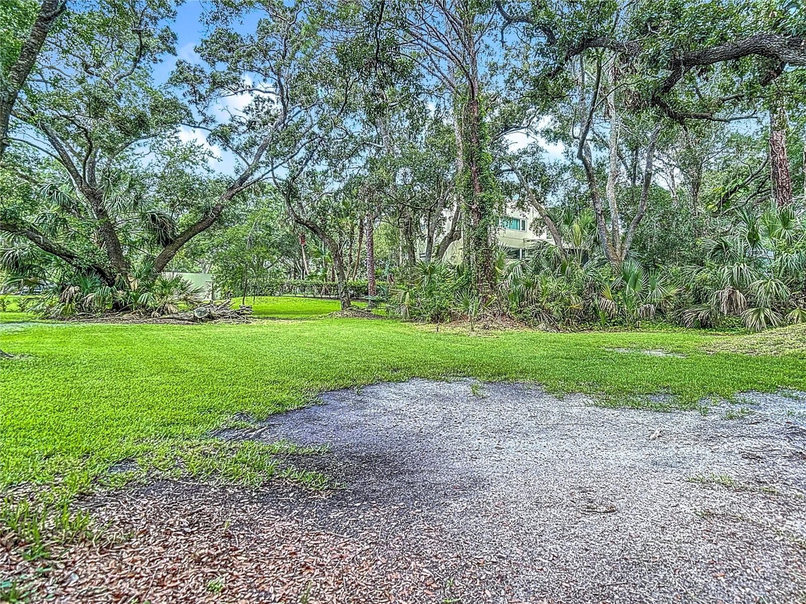 950 WAVERLY ST, OLDSMAR, FL, 34677