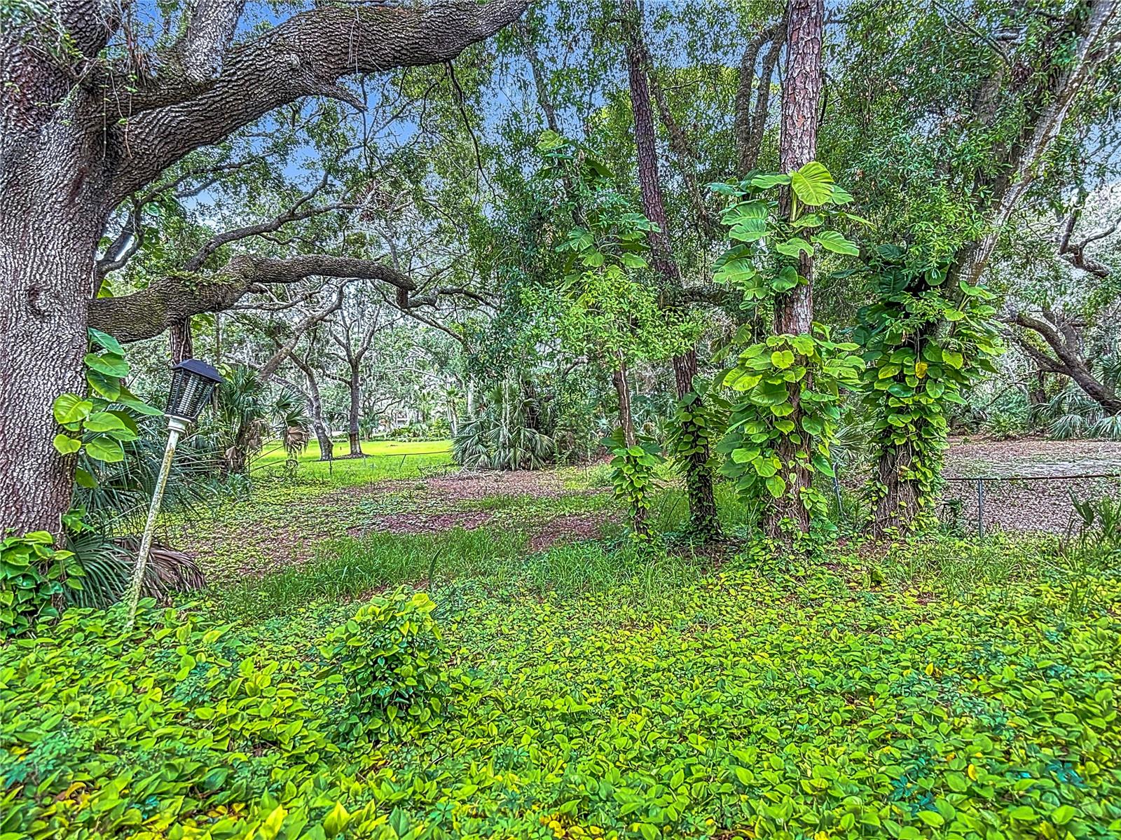 950 WAVERLY ST, OLDSMAR, FL, 34677