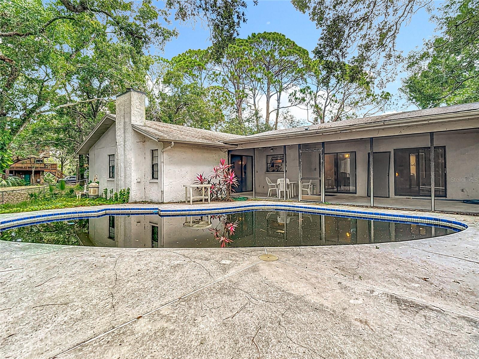 950 WAVERLY ST, OLDSMAR, FL, 34677