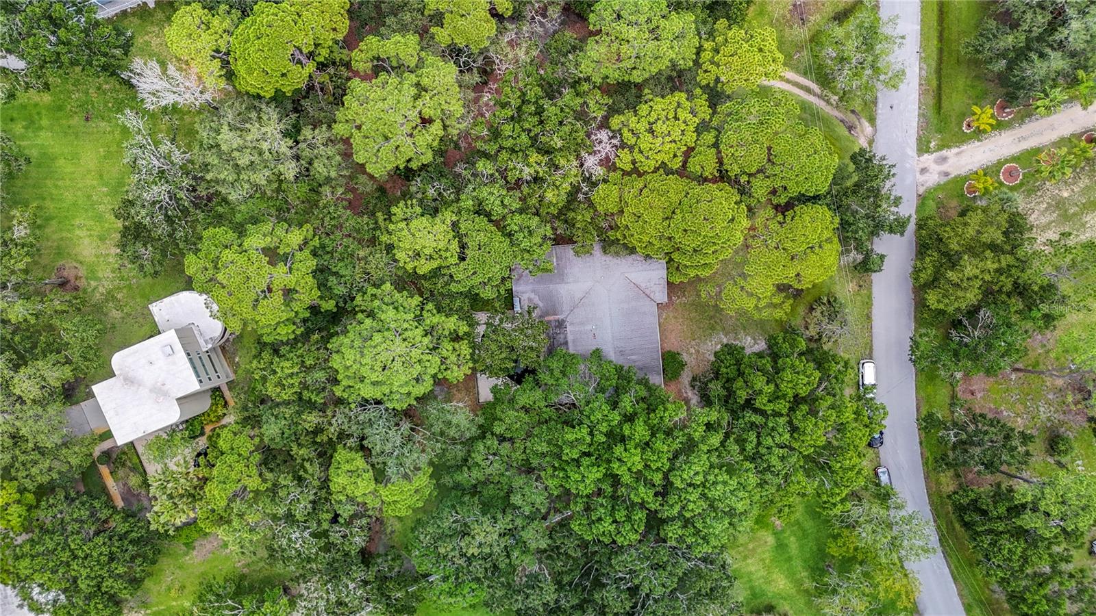 950 WAVERLY ST, OLDSMAR, FL, 34677