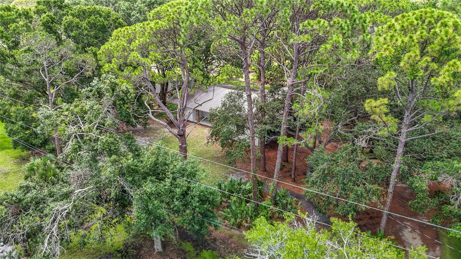 950 WAVERLY ST, OLDSMAR, FL, 34677