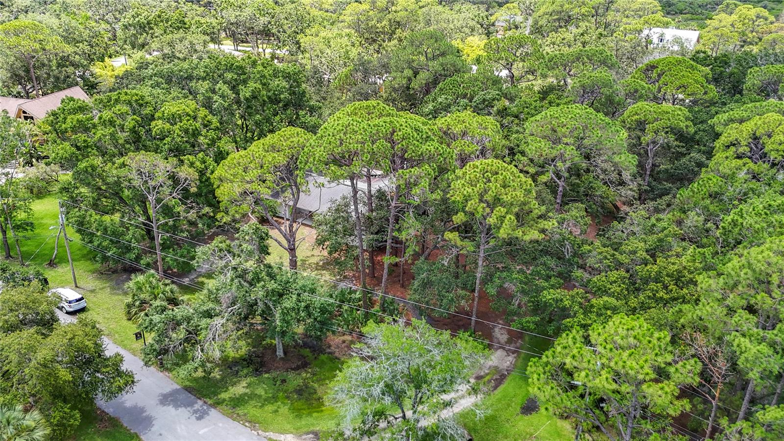 950 WAVERLY ST, OLDSMAR, FL, 34677