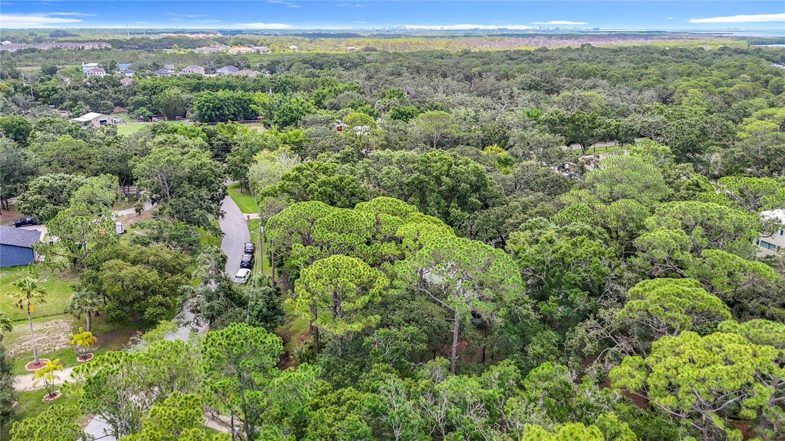 950 WAVERLY ST, OLDSMAR, FL, 34677