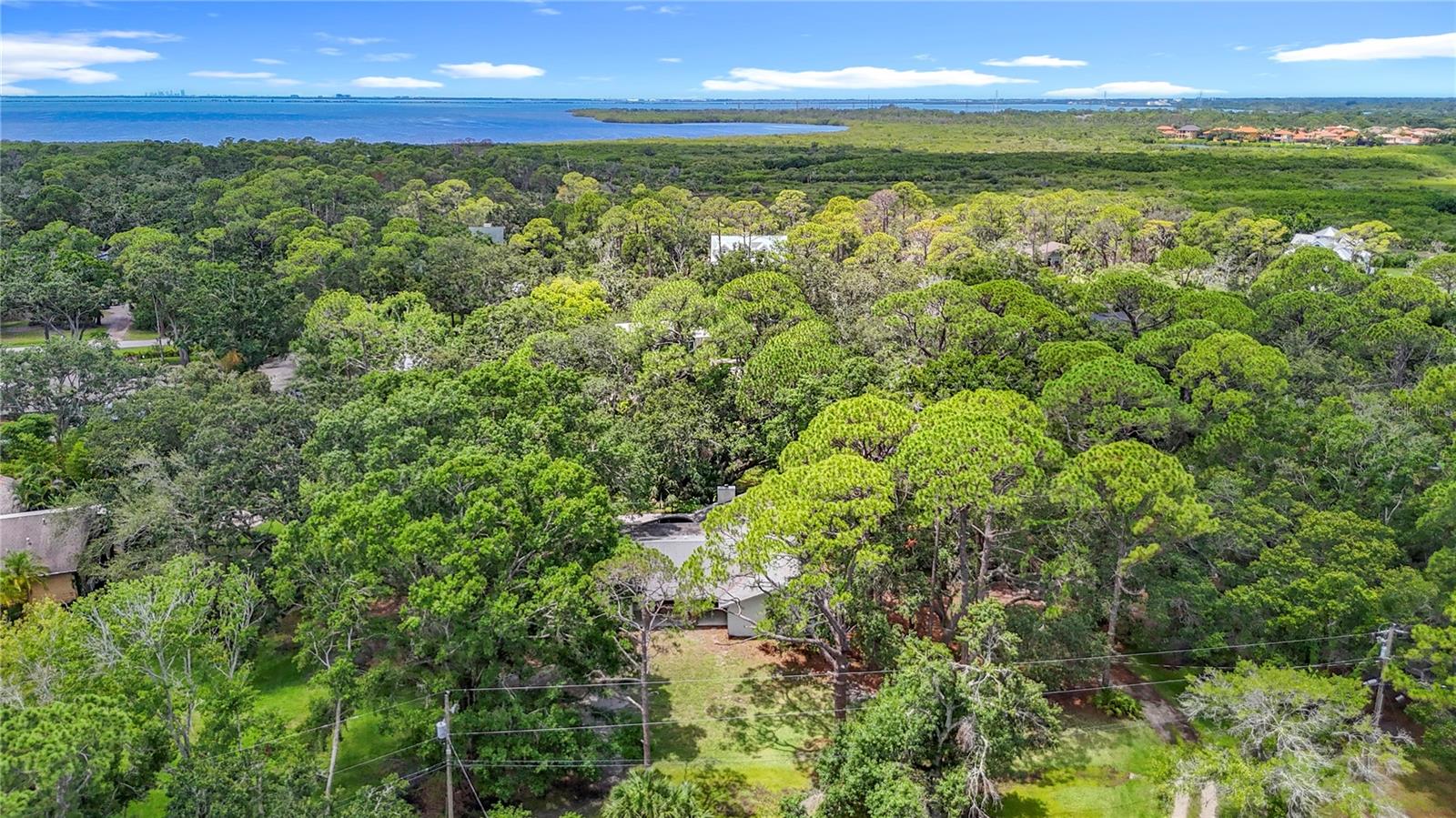 950 WAVERLY ST, OLDSMAR, FL, 34677