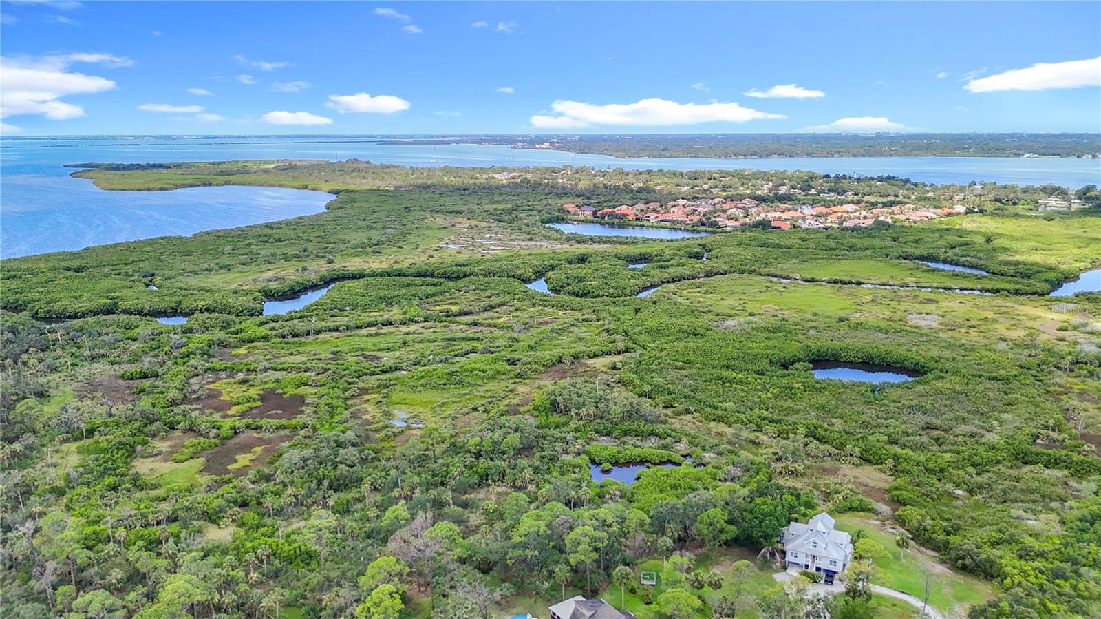 950 WAVERLY ST, OLDSMAR, FL, 34677