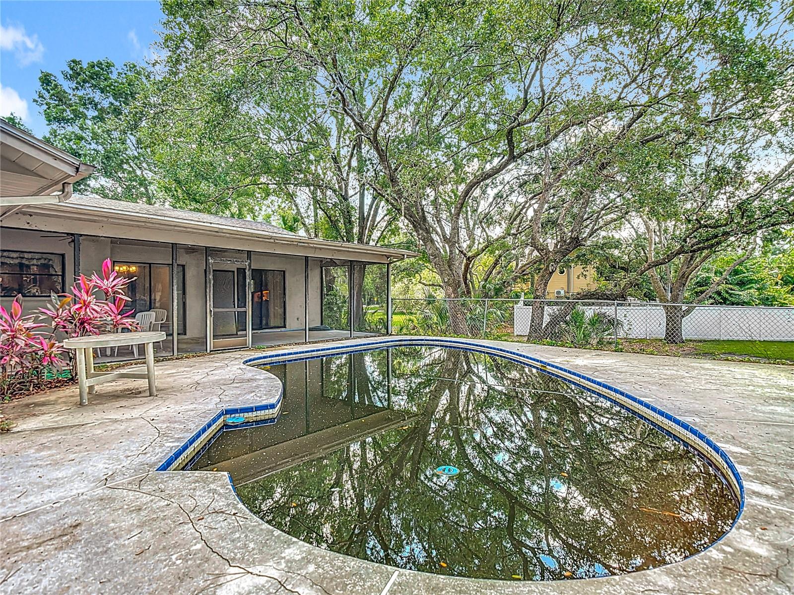 950 WAVERLY ST, OLDSMAR, FL, 34677