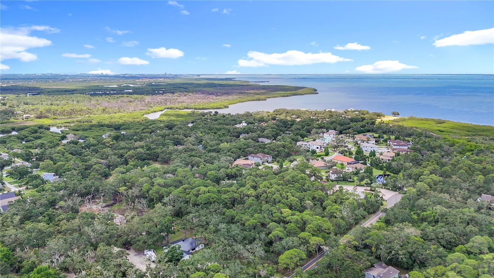 950 WAVERLY ST, OLDSMAR, FL, 34677