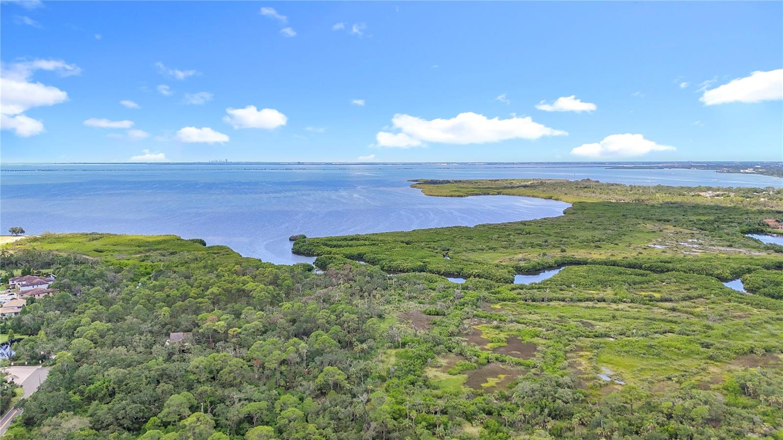 950 WAVERLY ST, OLDSMAR, FL, 34677