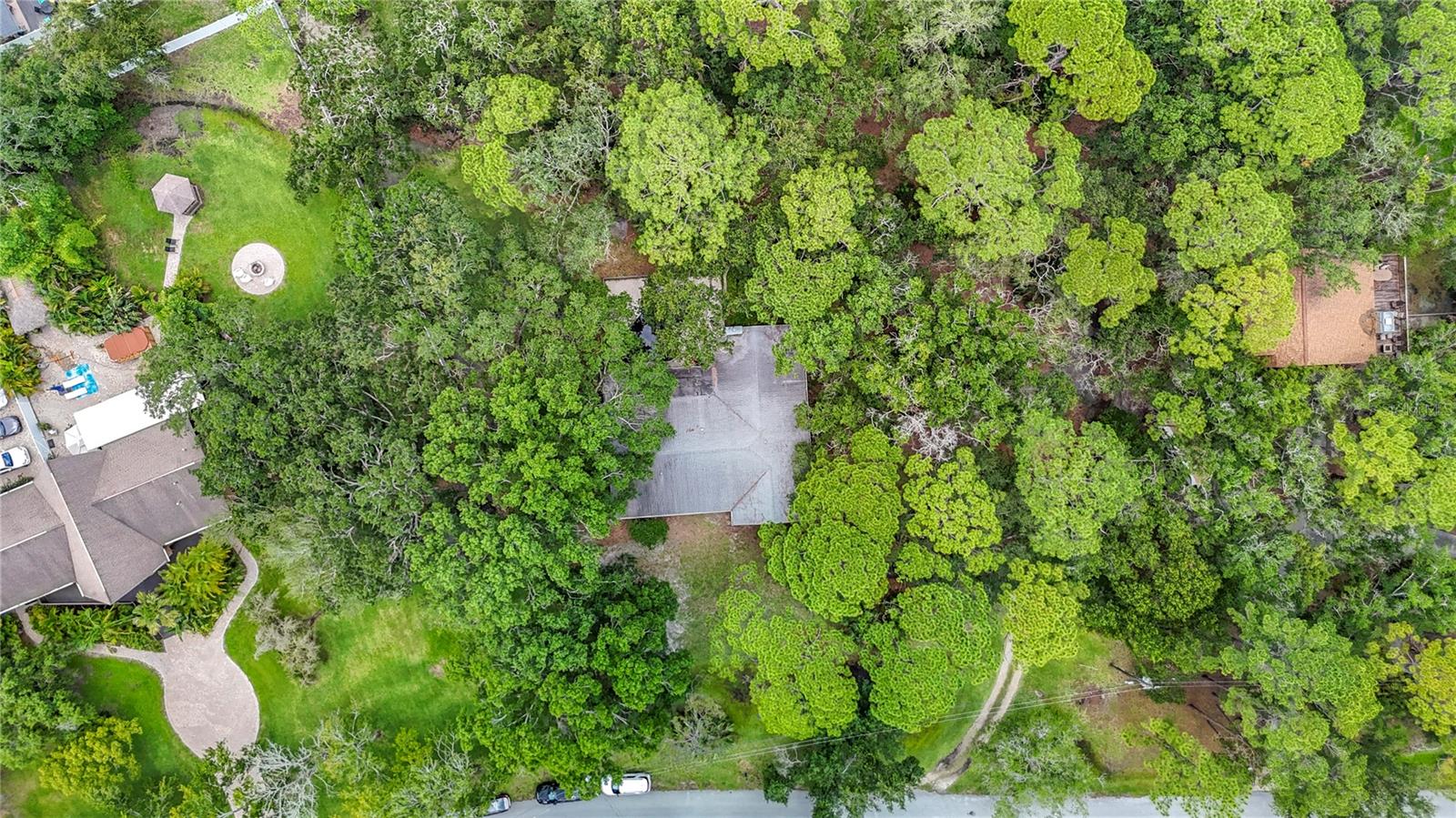 950 WAVERLY ST, OLDSMAR, FL, 34677