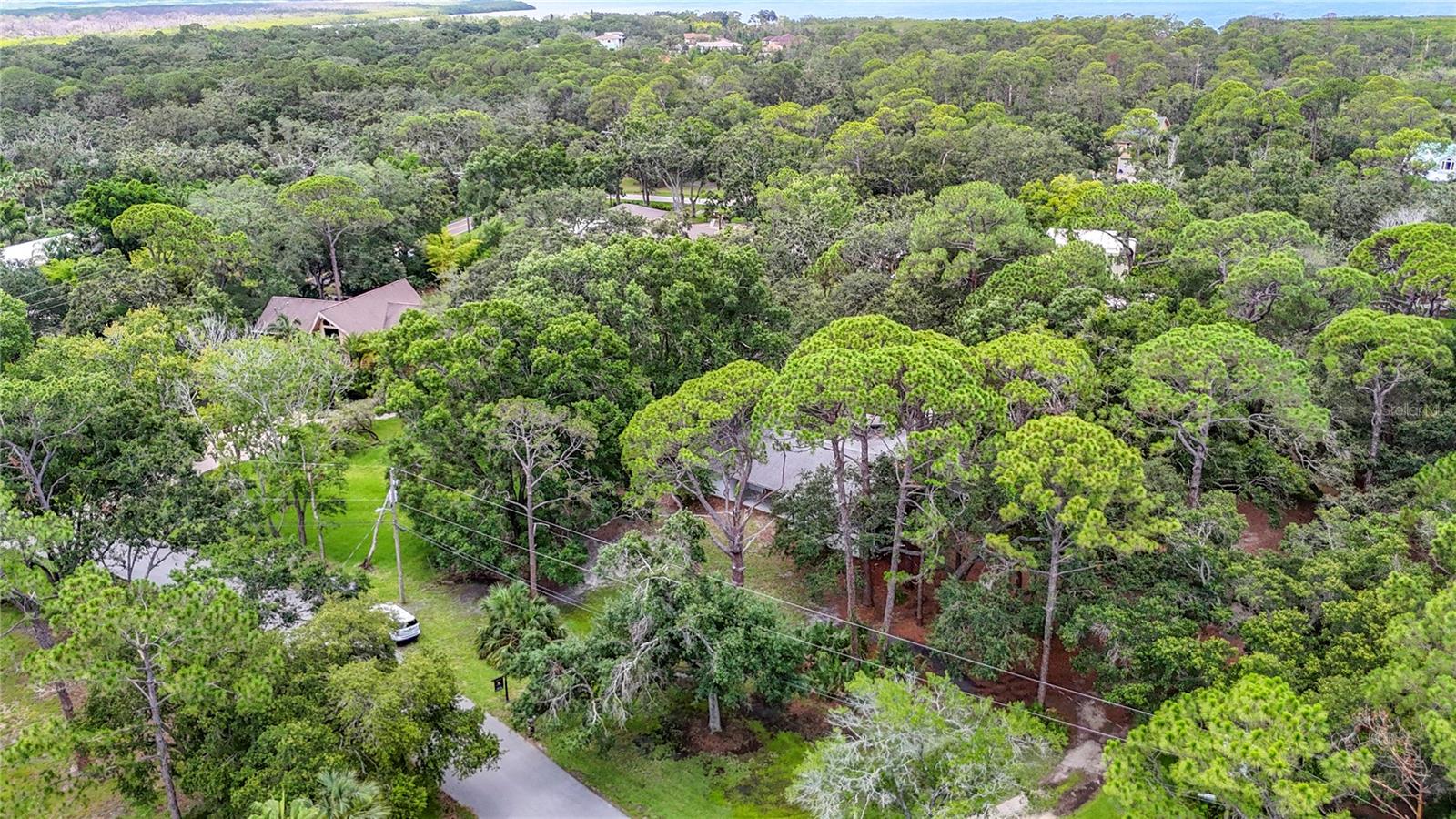 950 WAVERLY ST, OLDSMAR, FL, 34677