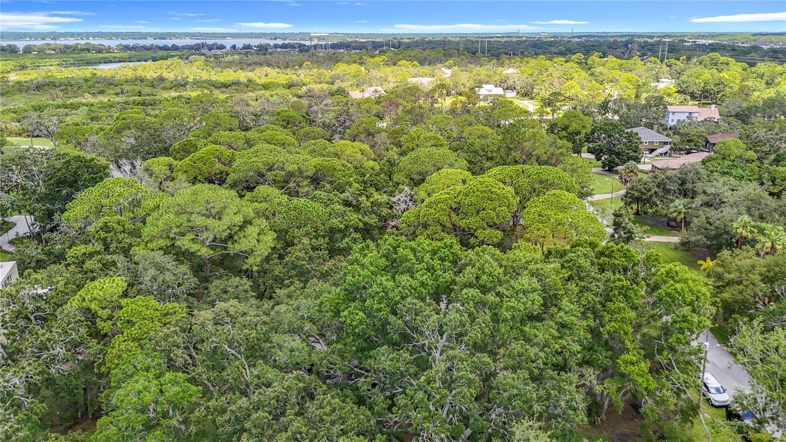 950 WAVERLY ST, OLDSMAR, FL, 34677