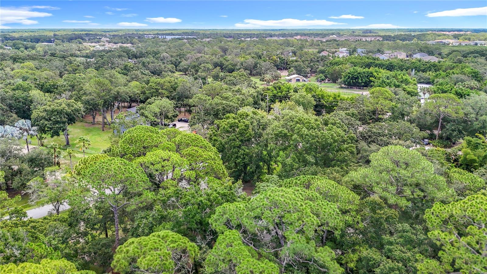 950 WAVERLY ST, OLDSMAR, FL, 34677