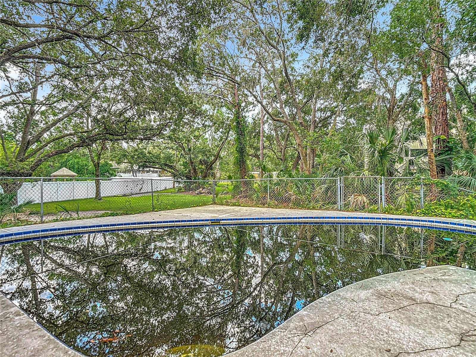 950 WAVERLY ST, OLDSMAR, FL, 34677