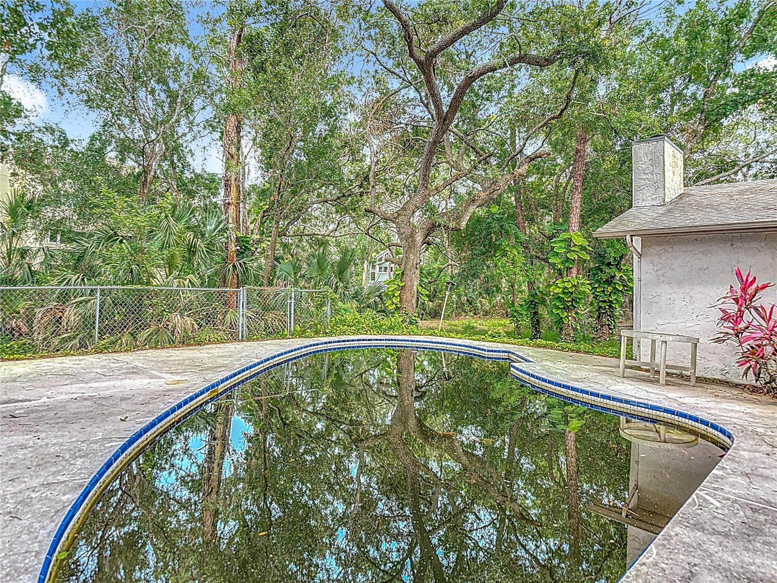 950 WAVERLY ST, OLDSMAR, FL, 34677