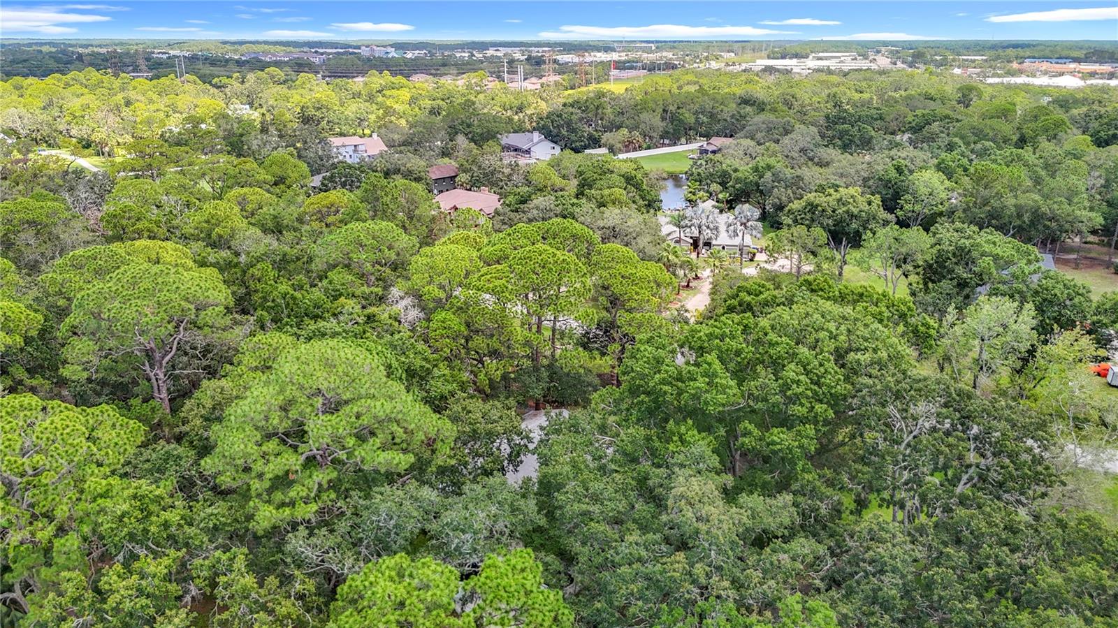 950 WAVERLY ST, OLDSMAR, FL, 34677