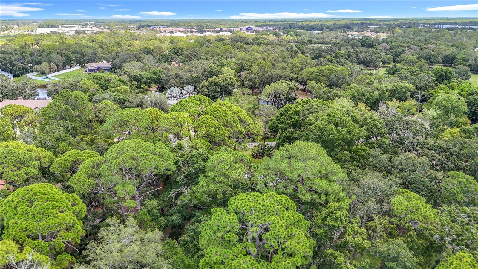 950 WAVERLY ST, OLDSMAR, FL, 34677