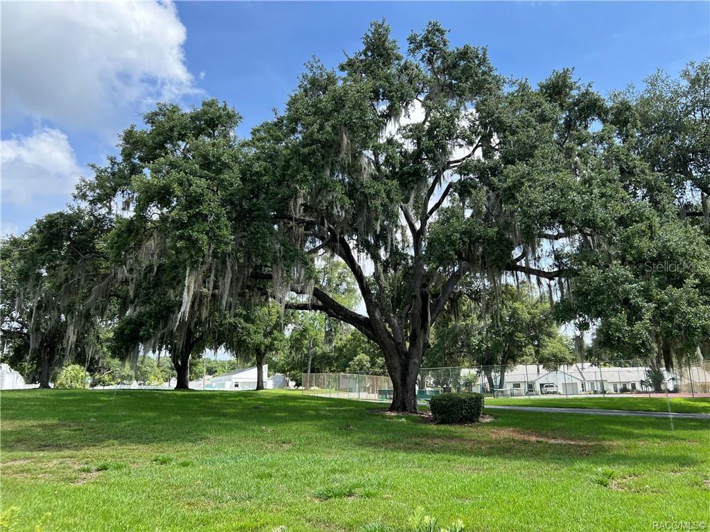 6847 E QUEENSBURY LN, INVERNESS, FL, 34452