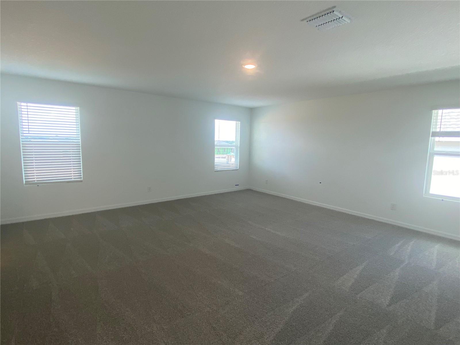 335 RIDGEMARK AVE, GROVELAND, FL, 34736