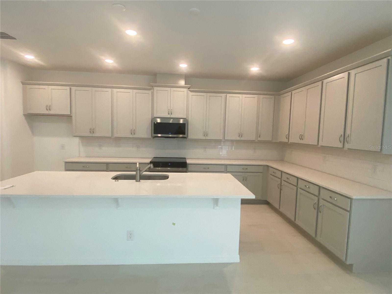 335 RIDGEMARK AVE, GROVELAND, FL, 34736