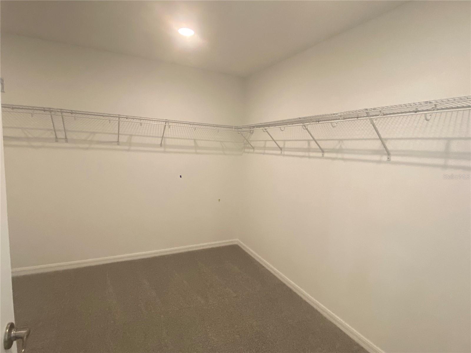 335 RIDGEMARK AVE, GROVELAND, FL, 34736