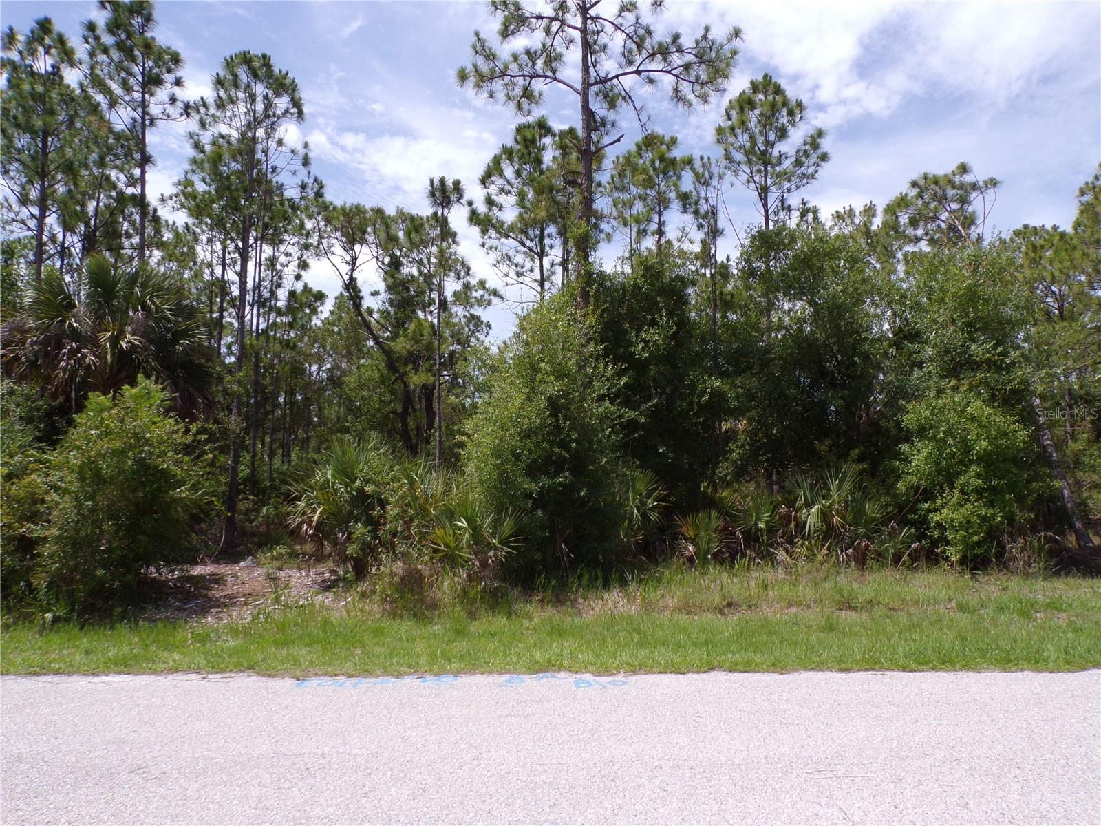 23413 PATERA AVE, PUNTA GORDA, FL, 33980