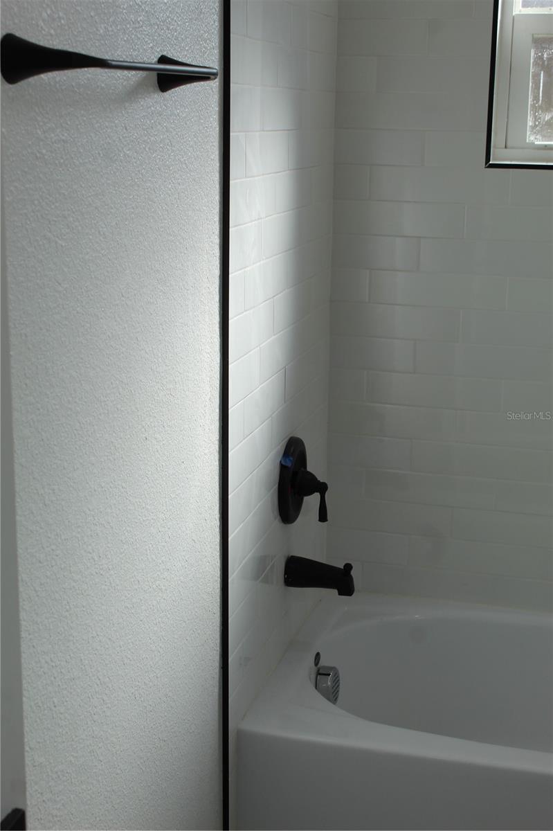 8524 FISH LAKE RD, TAMPA, FL, 33619