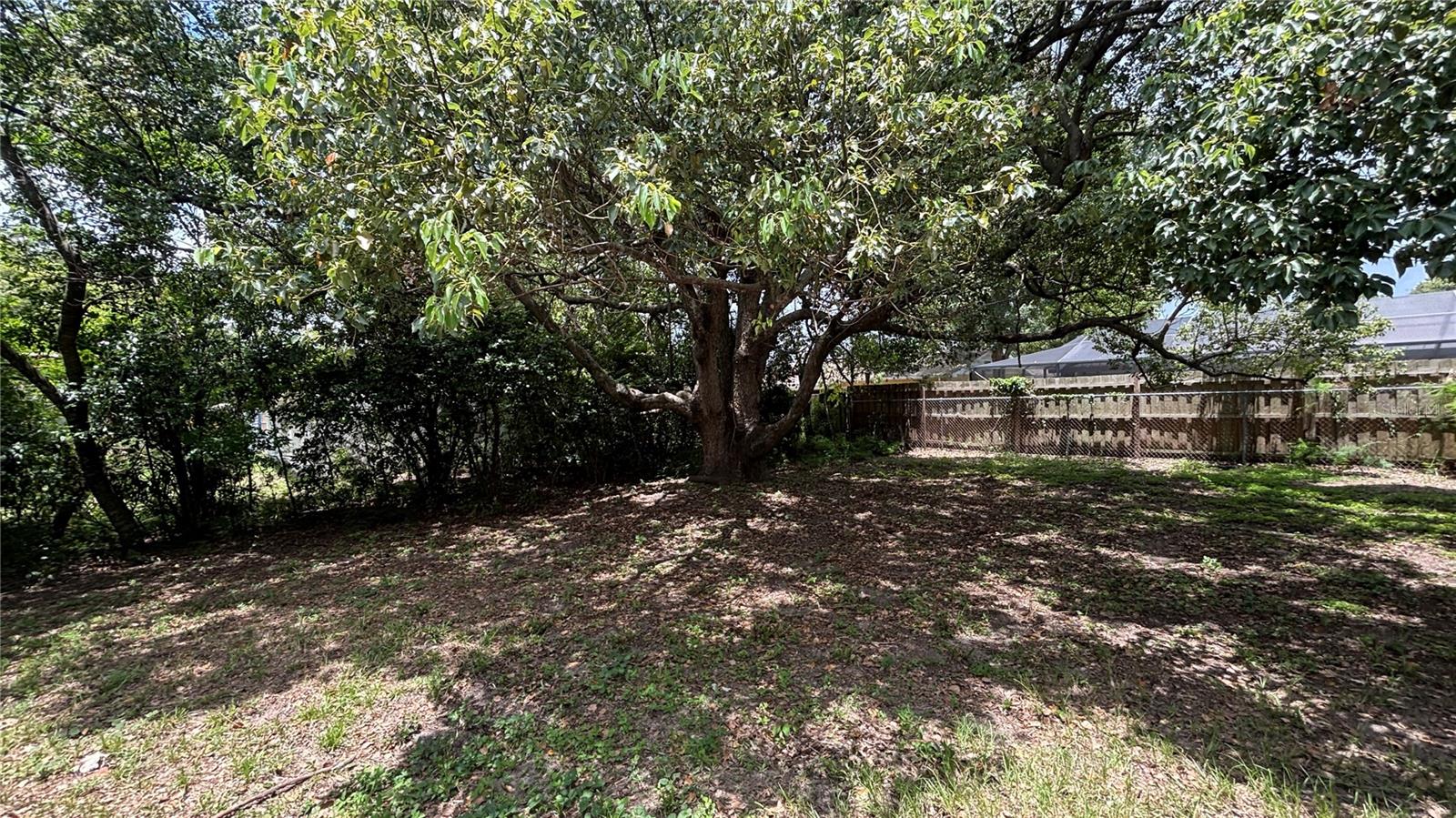 39205 PARK DR, ZEPHYRHILLS, FL, 33542