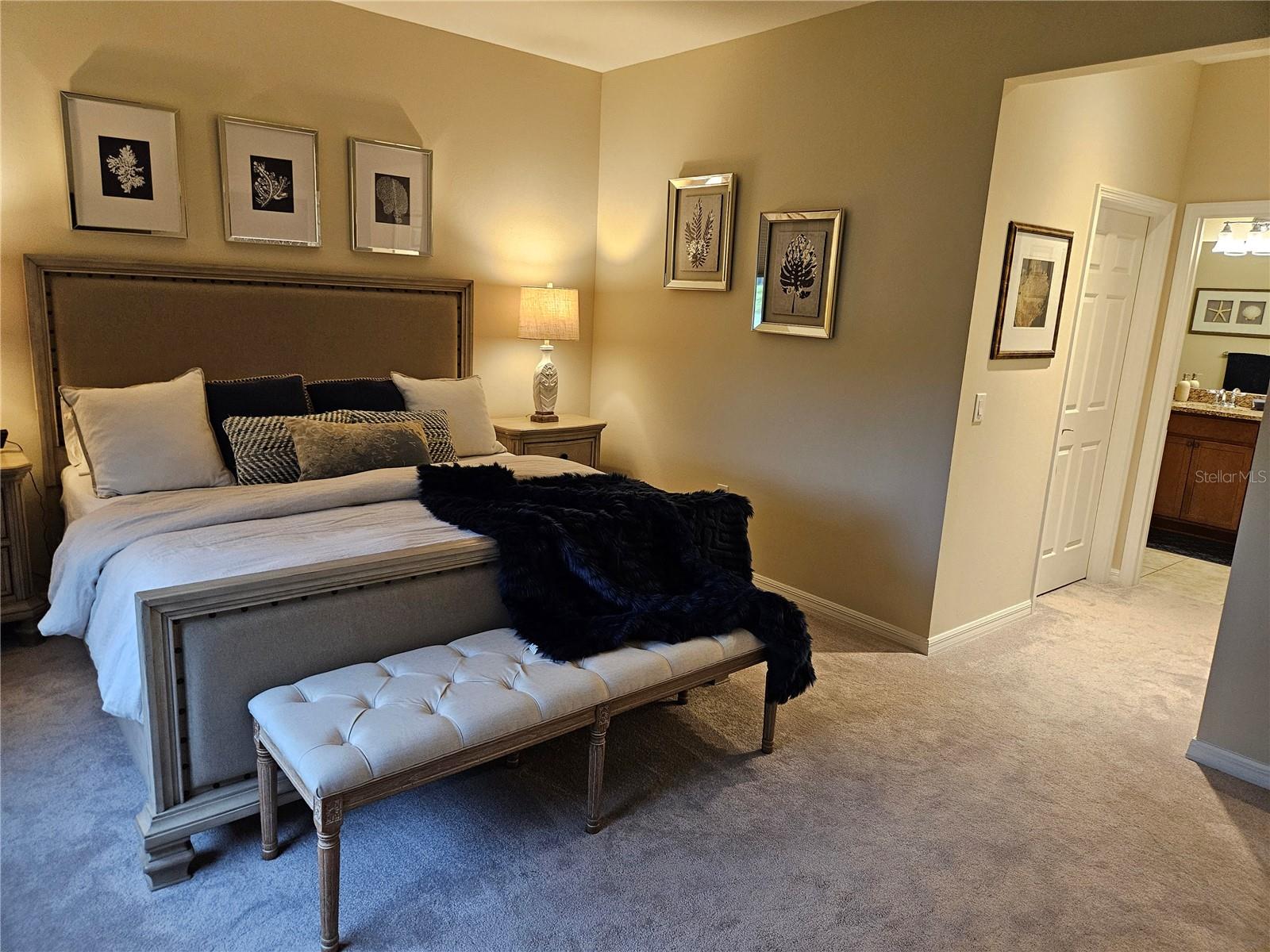 13916 ALAFAYA ST, VENICE, FL, 34293