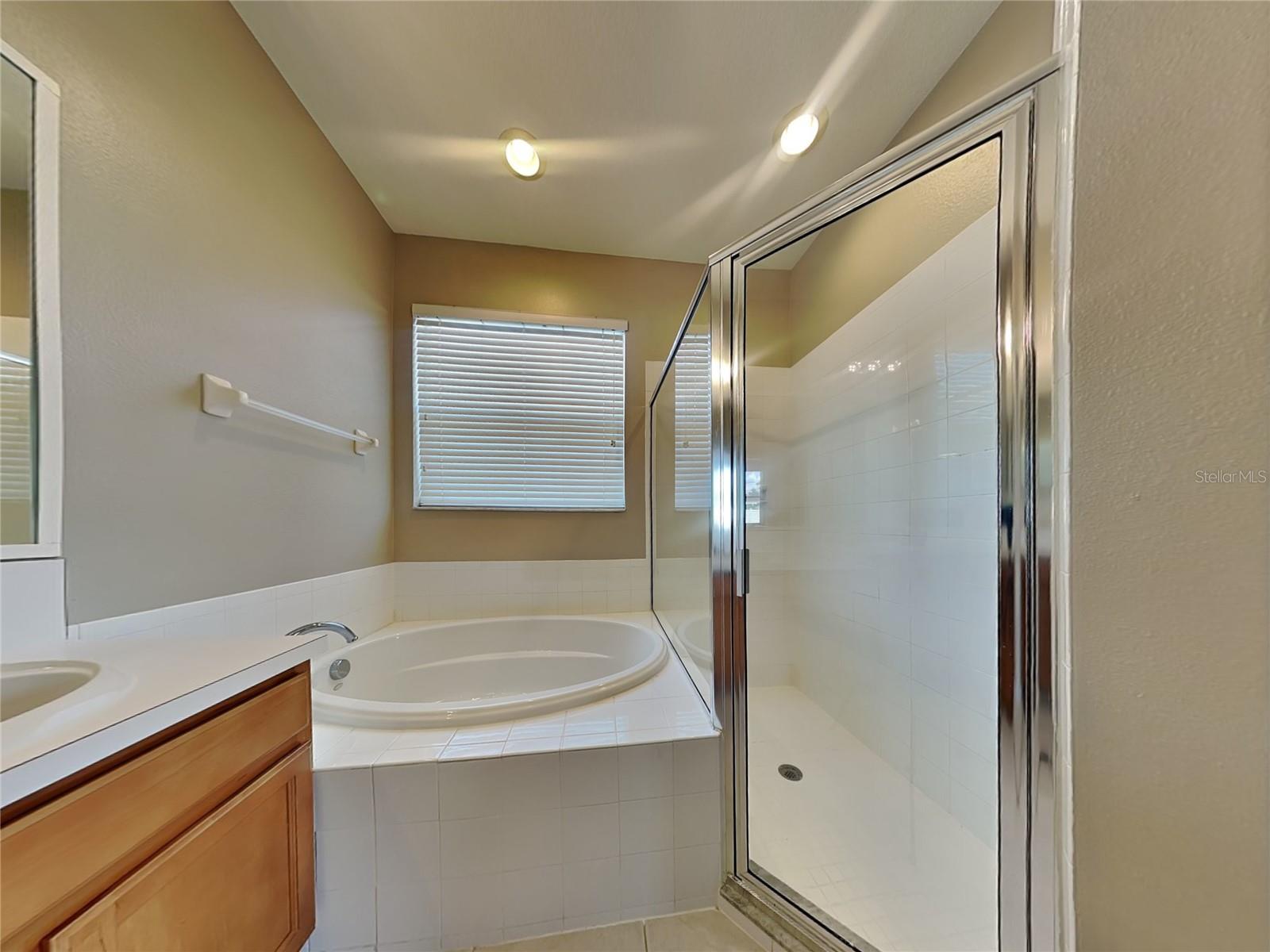 1028 APPIAN PL, WESLEY CHAPEL, FL, 33543