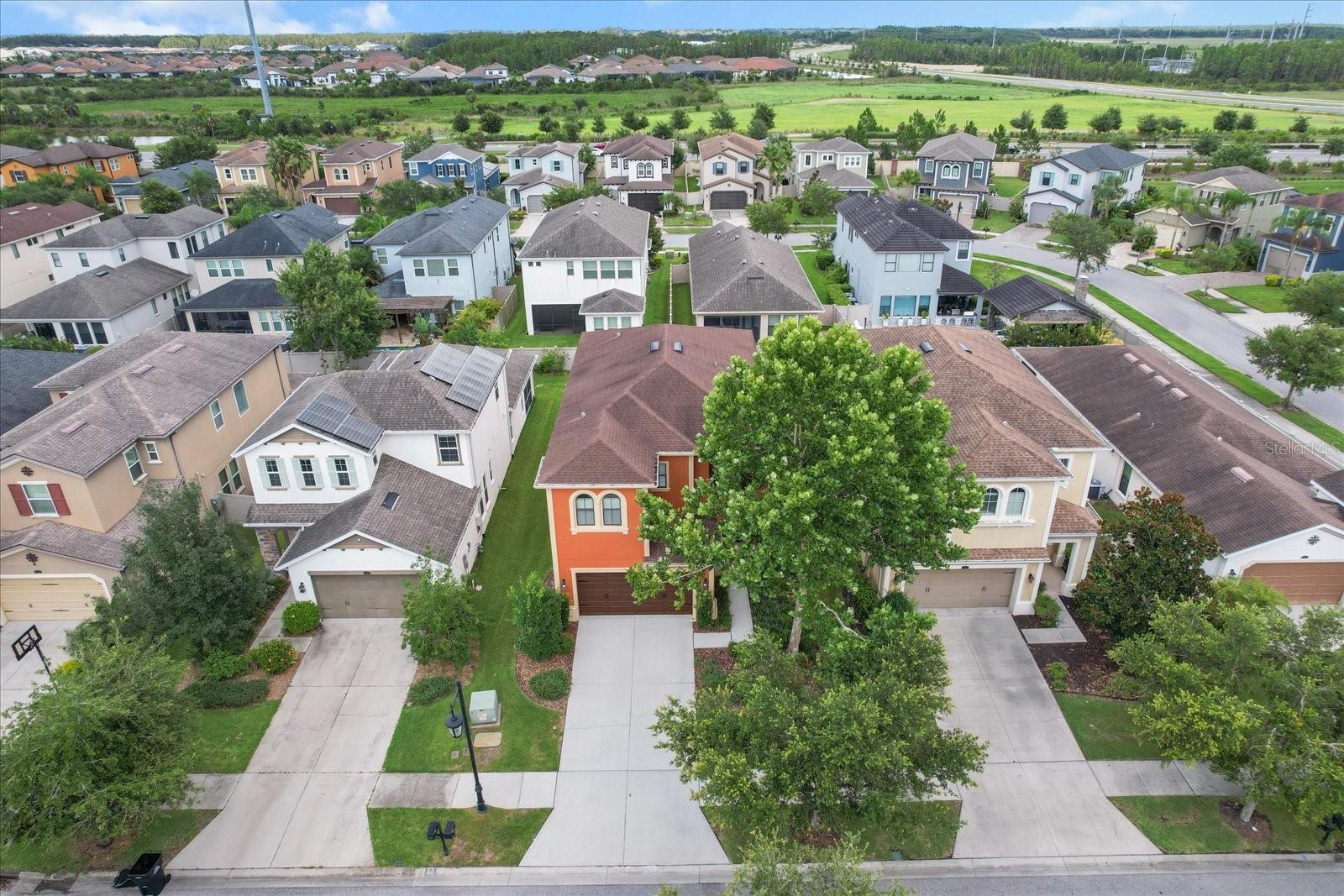 3994 MEDICCI LN, WESLEY CHAPEL, FL, 33543