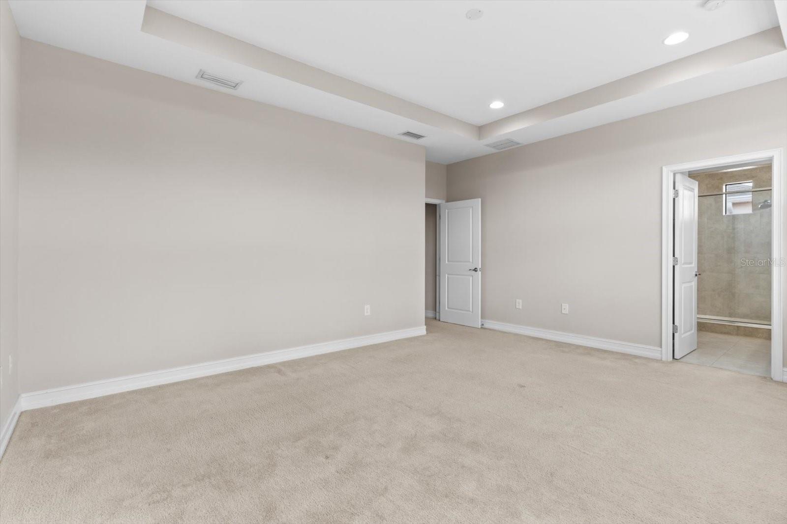 3994 MEDICCI LN, WESLEY CHAPEL, FL, 33543