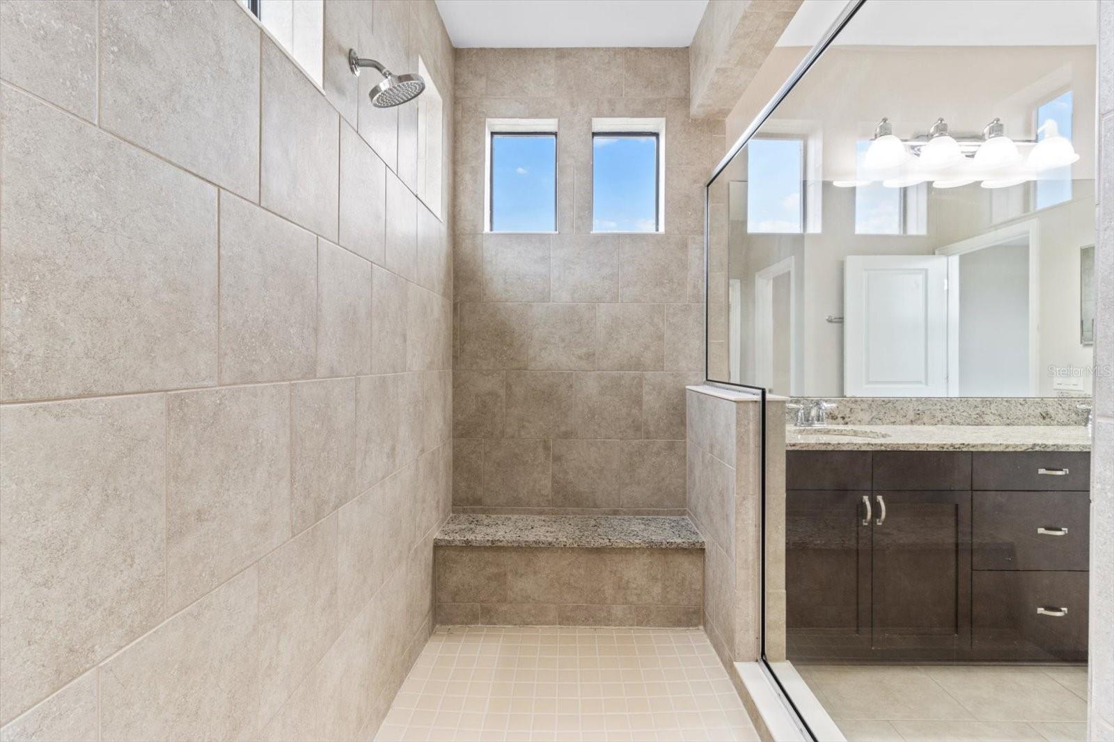 3994 MEDICCI LN, WESLEY CHAPEL, FL, 33543