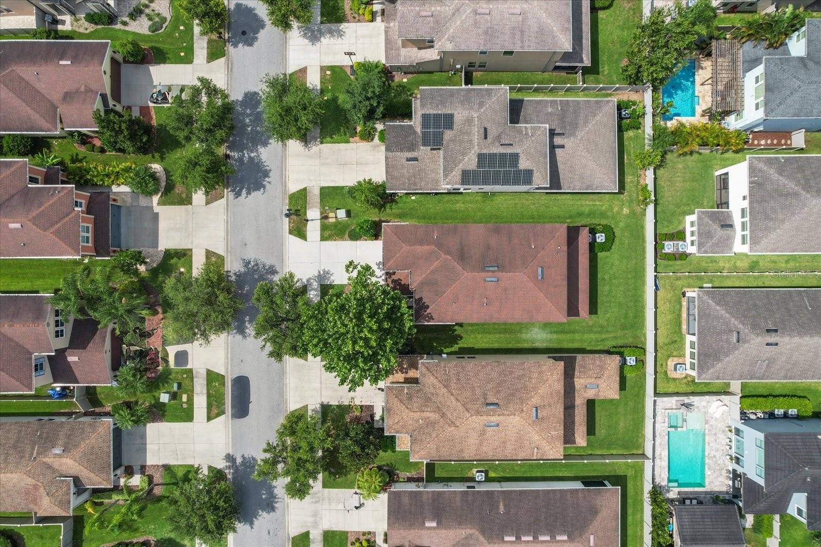 3994 MEDICCI LN, WESLEY CHAPEL, FL, 33543