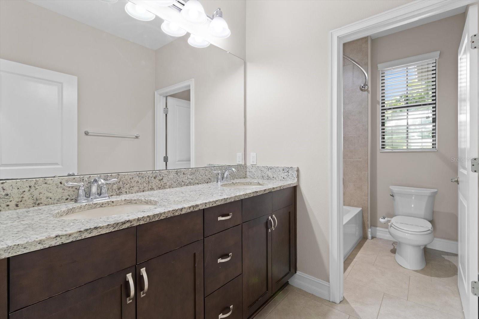 3994 MEDICCI LN, WESLEY CHAPEL, FL, 33543