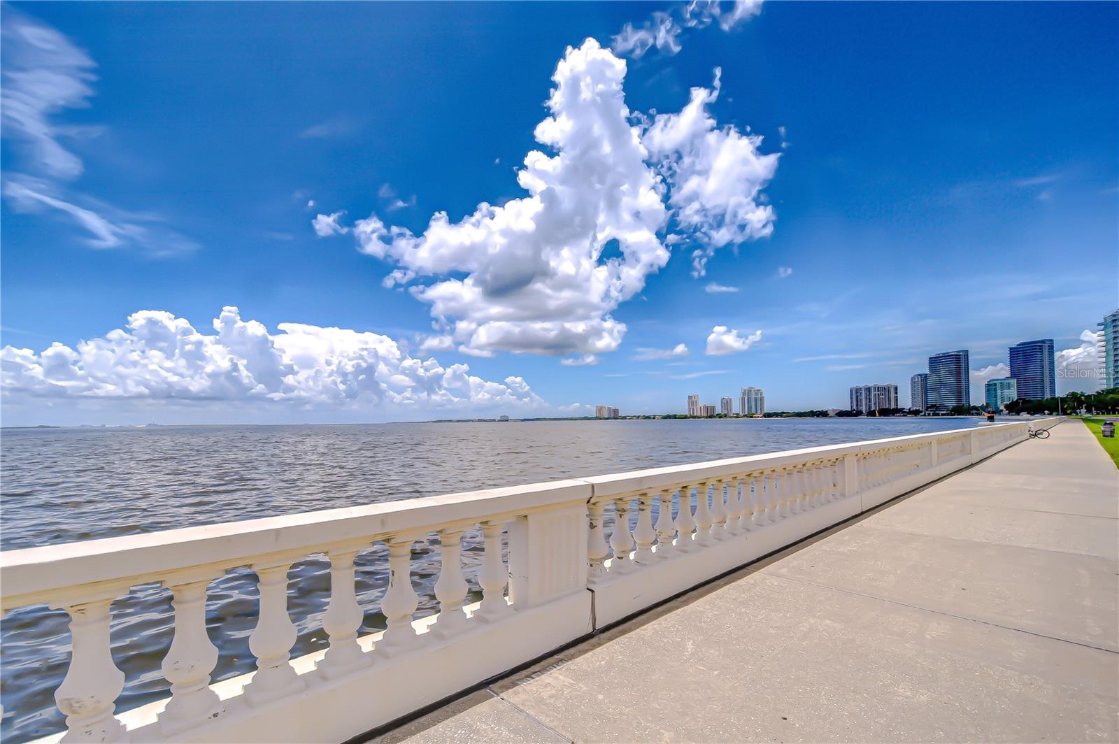 Vibrant South Tampa living — minutes from Hyde Park, Downtown, and the Riverwalk!