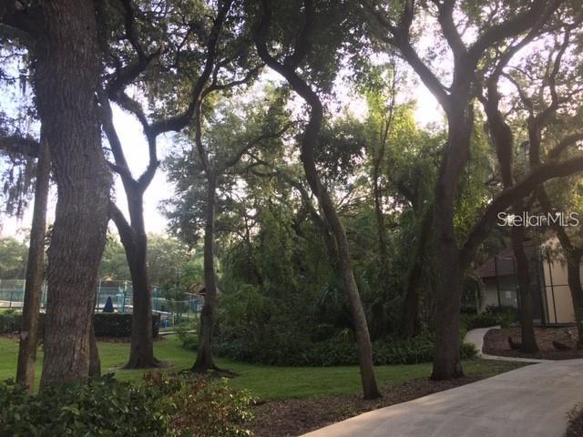 2716 11TH CT, PALM HARBOR, FL, 34684