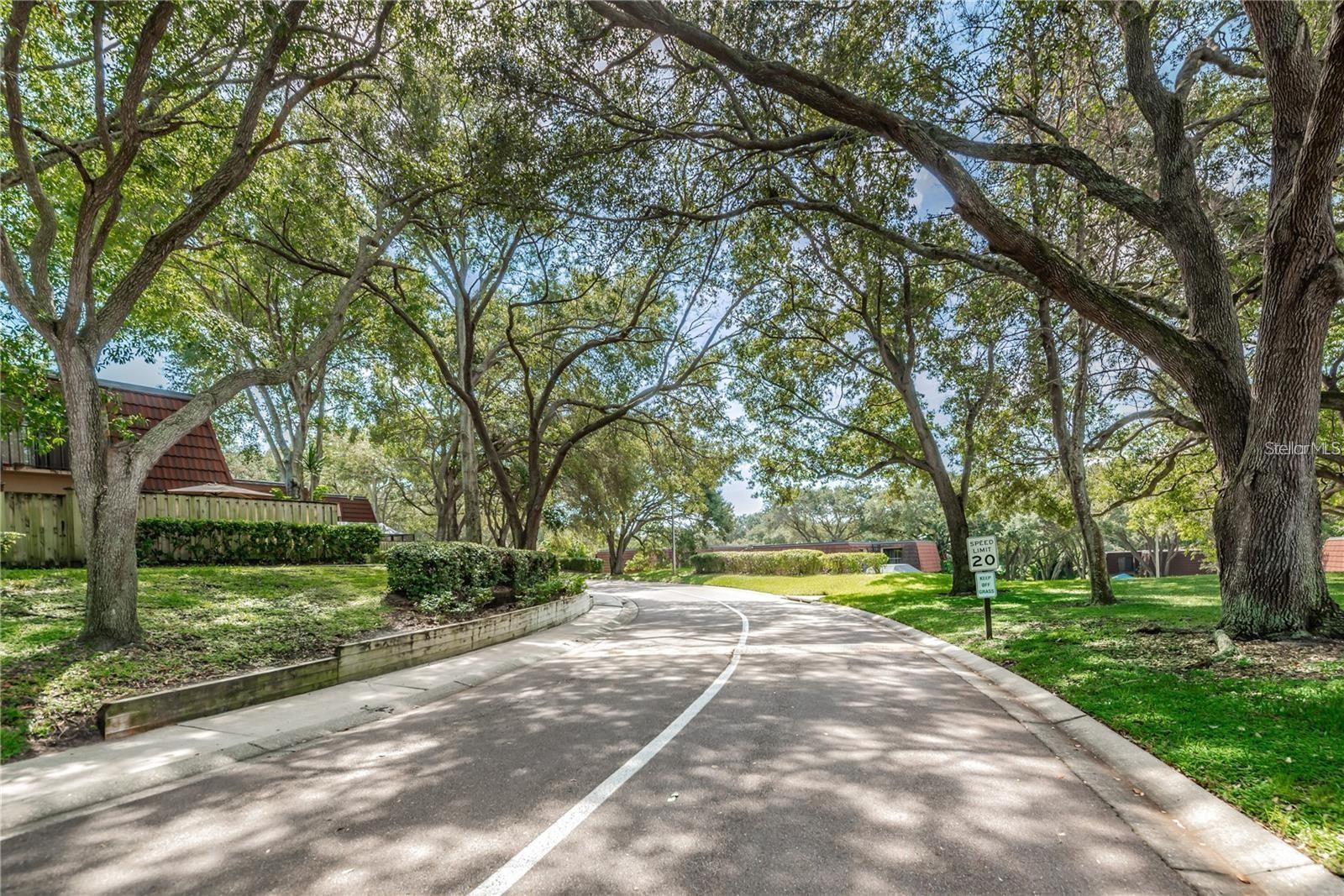 2716 11TH CT, PALM HARBOR, FL, 34684