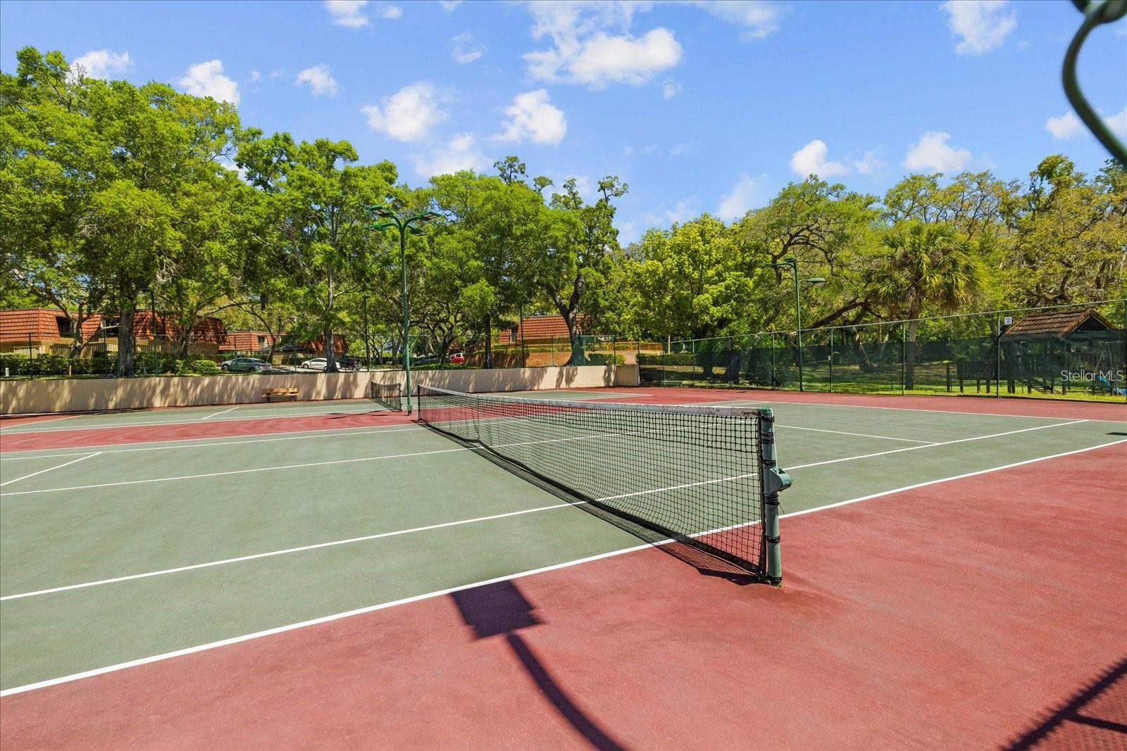 2716 11TH CT, PALM HARBOR, FL, 34684