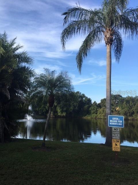 2716 11TH CT, PALM HARBOR, FL, 34684