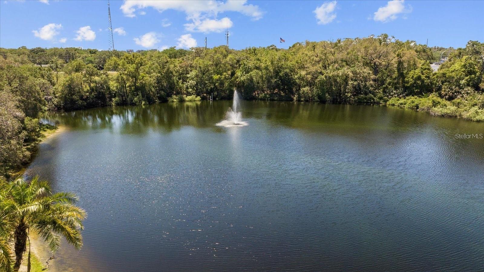 2716 11TH CT, PALM HARBOR, FL, 34684